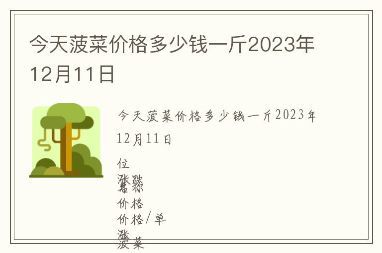 今天菠菜價格多少錢一斤2023年12月11日