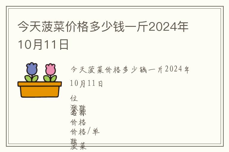 今天菠菜價格多少錢一斤2024年10月11日