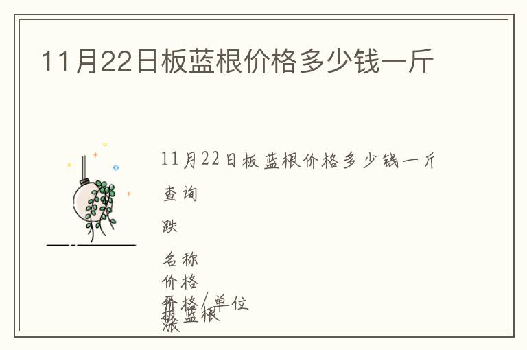 11月22日板藍根價格多少錢一斤