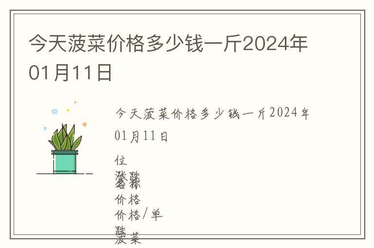 今天菠菜價(jià)格多少錢(qián)一斤2024年01月11日