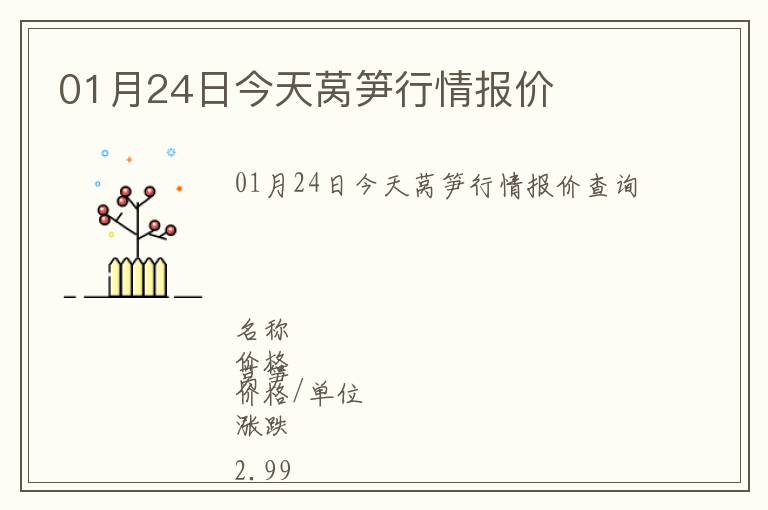 01月24日今天萵筍行情報價
