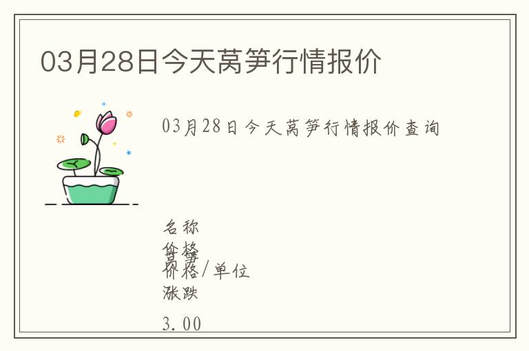 03月28日今天萵筍行情報價