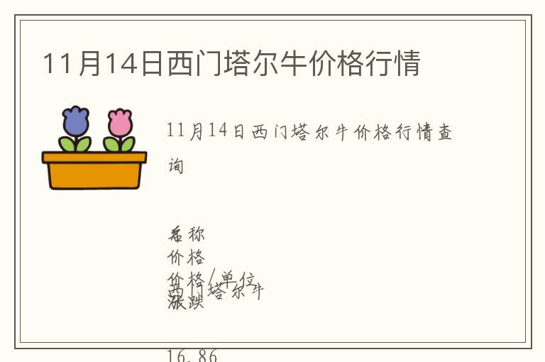 11月14日西門塔爾牛價格行情