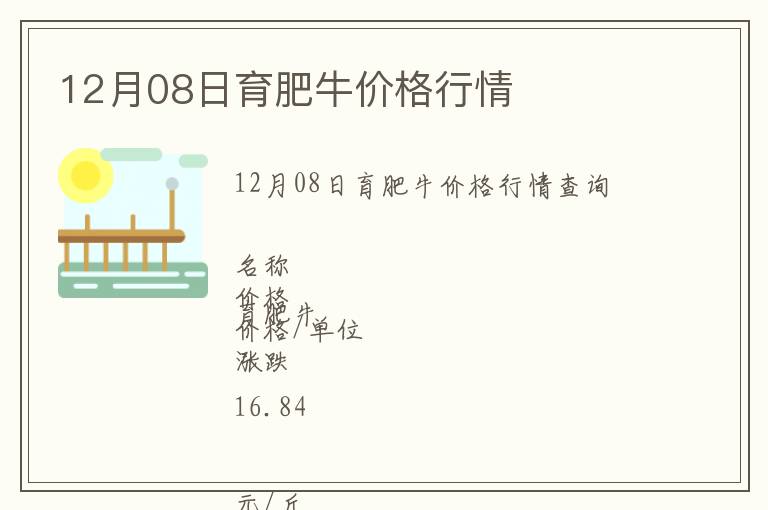 12月08日育肥牛價格行情