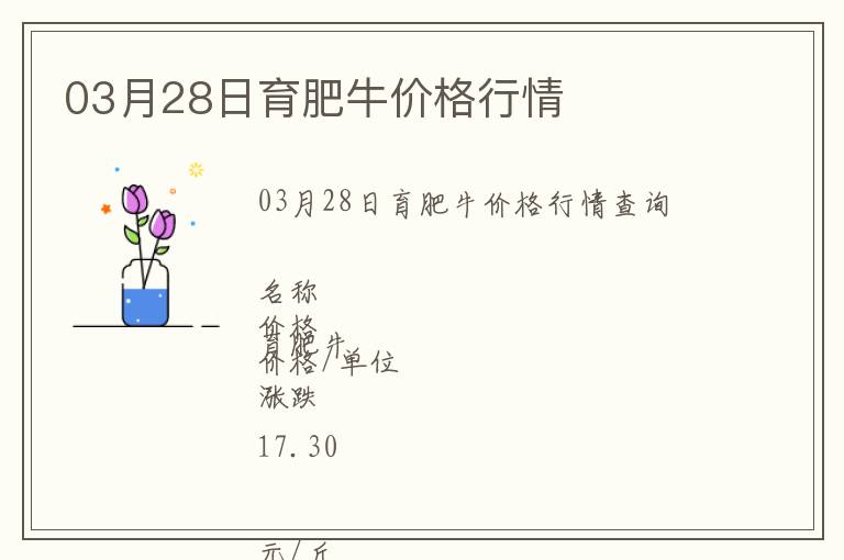 03月28日育肥牛價格行情