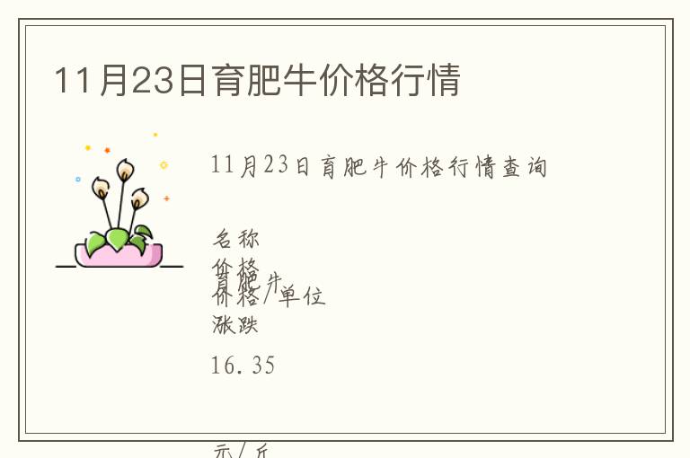 11月23日育肥牛價(jià)格行情