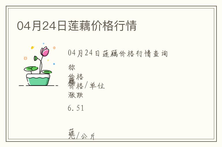 04月24日蓮藕價格行情