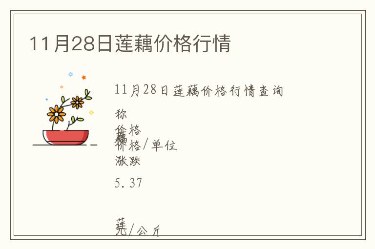 11月28日蓮藕價格行情