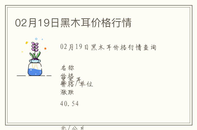 02月19日黑木耳價格行情