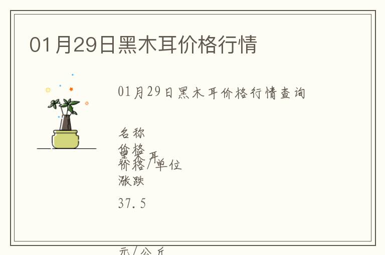 01月29日黑木耳價格行情