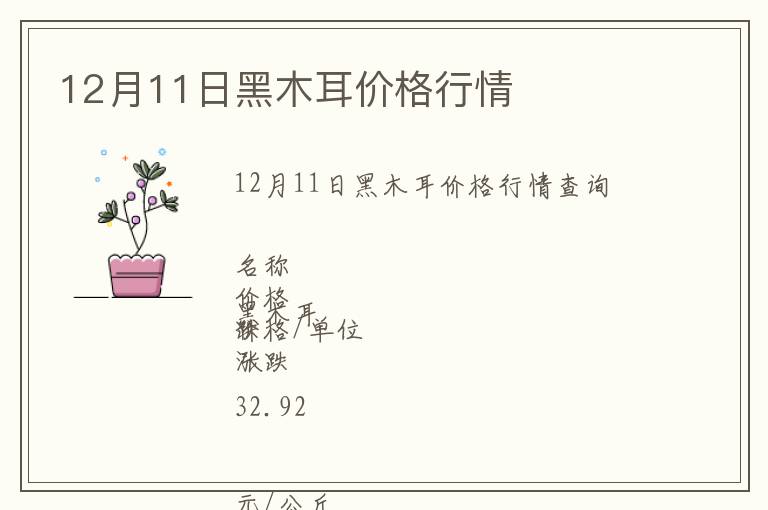 12月11日黑木耳價格行情
