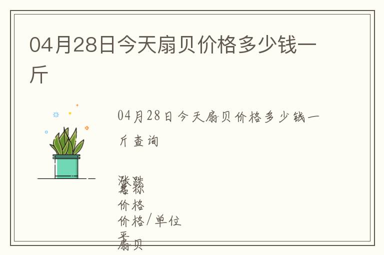 04月28日今天扇貝價格多少錢一斤