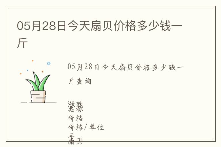 05月28日今天扇貝價(jià)格多少錢一斤