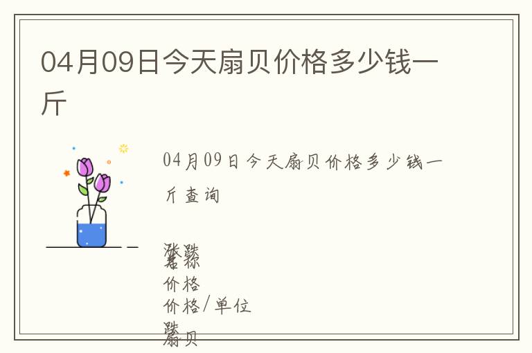 04月09日今天扇貝價格多少錢一斤