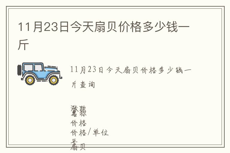 11月23日今天扇貝價格多少錢一斤