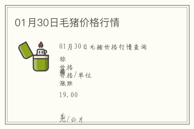 01月30日毛豬價格行情