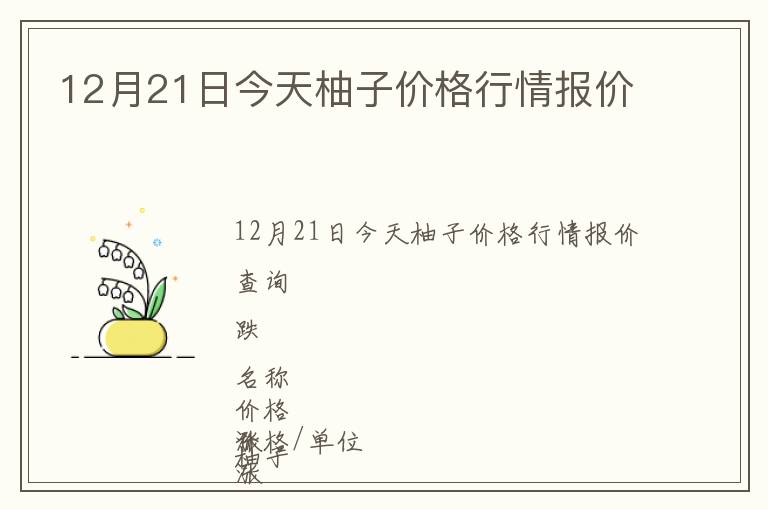 12月21日今天柚子價格行情報價