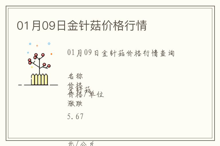 01月09日金針菇價格行情