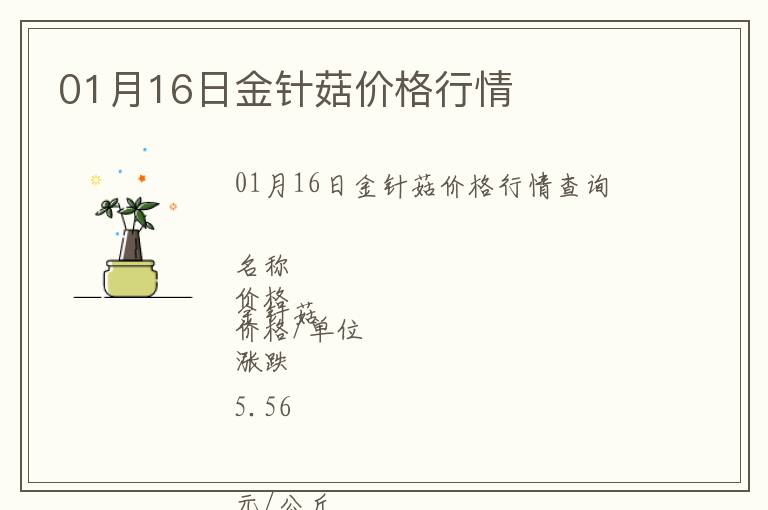 01月16日金針菇價格行情