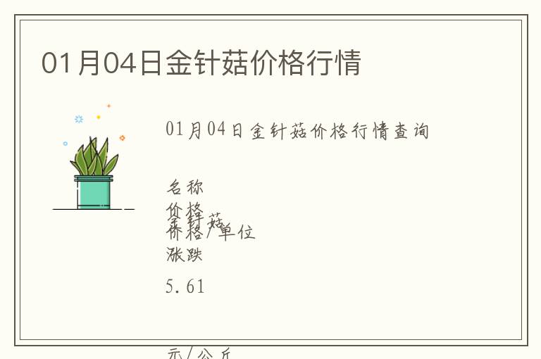 01月04日金針菇價格行情