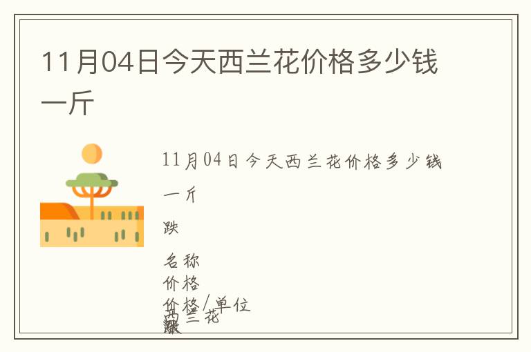 11月04日今天西蘭花價格多少錢一斤