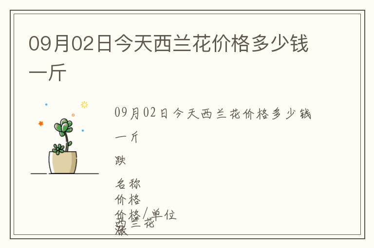 09月02日今天西蘭花價格多少錢一斤
