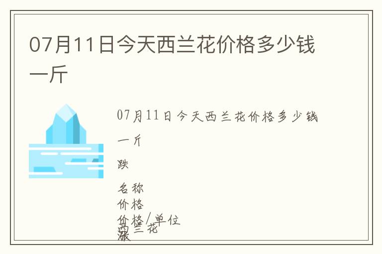 07月11日今天西蘭花價格多少錢一斤