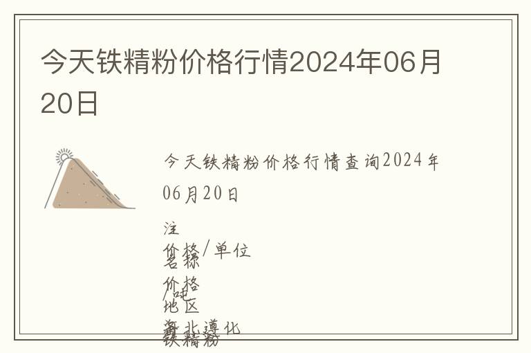 今天鐵精粉價格行情2024年06月20日