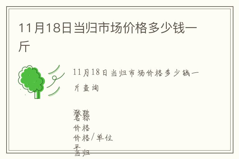 11月18日當歸市場價格多少錢一斤