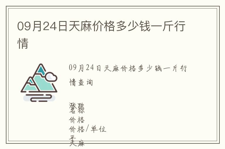 09月24日天麻價格多少錢一斤行情