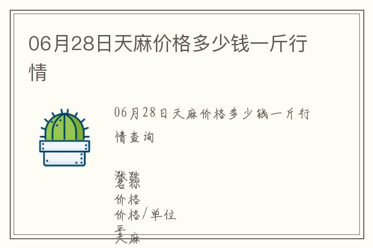 06月28日天麻價格多少錢一斤行情
