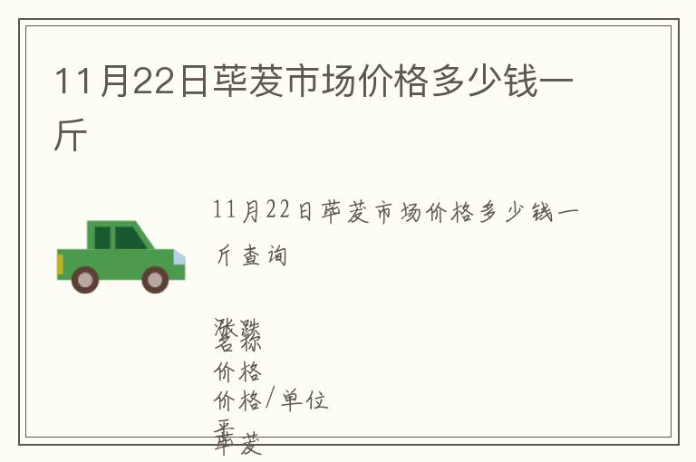 11月22日蓽茇市場價格多少錢一斤