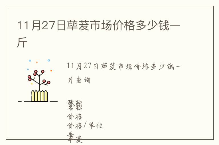 11月27日蓽茇市場價格多少錢一斤