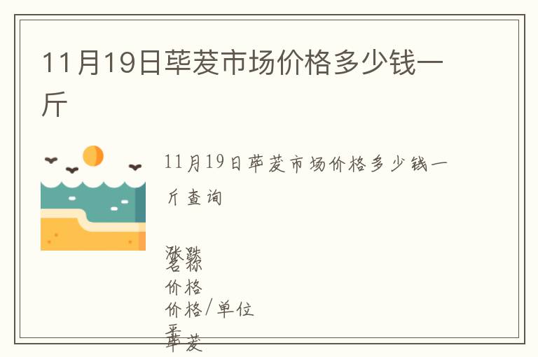 11月19日蓽茇市場價格多少錢一斤