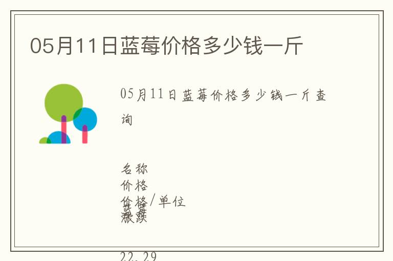 05月11日藍莓價格多少錢一斤