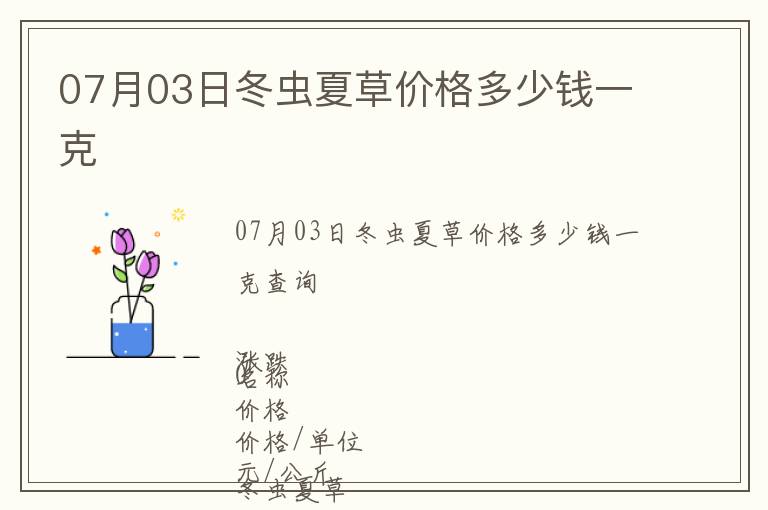 07月03日冬蟲夏草價格多少錢一克