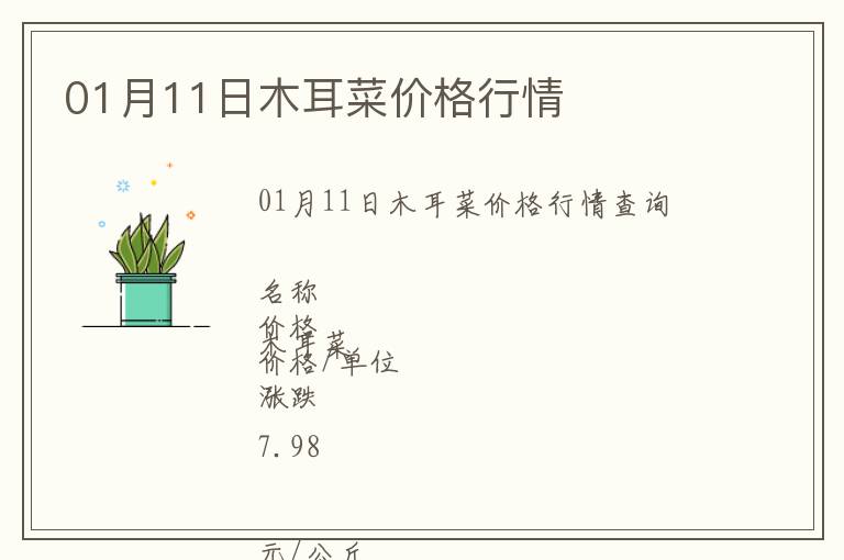 01月11日木耳菜價(jià)格行情