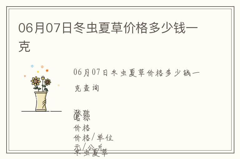 06月07日冬蟲夏草價格多少錢一克