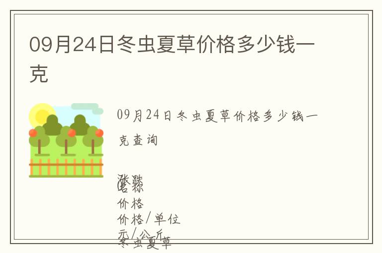 09月24日冬蟲夏草價格多少錢一克