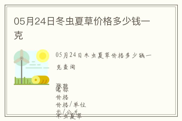 05月24日冬蟲夏草價格多少錢一克