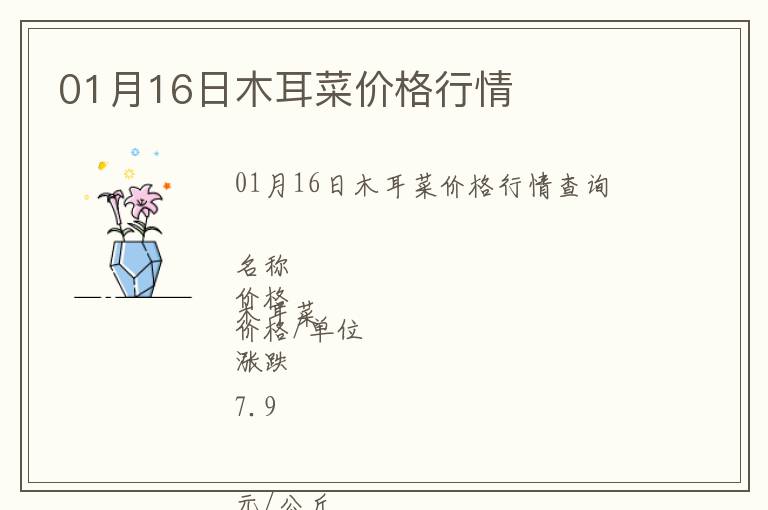 01月16日木耳菜價(jià)格行情