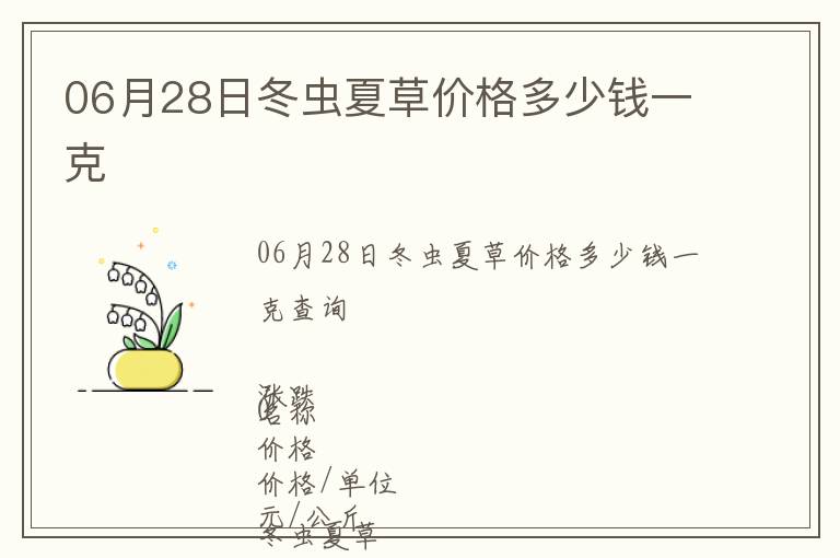 06月28日冬蟲夏草價格多少錢一克