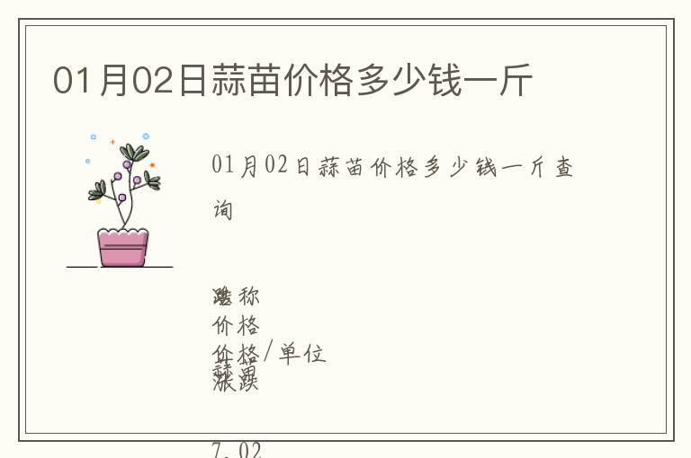 01月02日蒜苗價格多少錢一斤