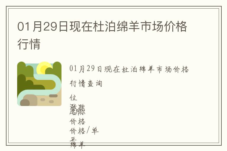 01月29日現在杜泊綿羊市場價格行情