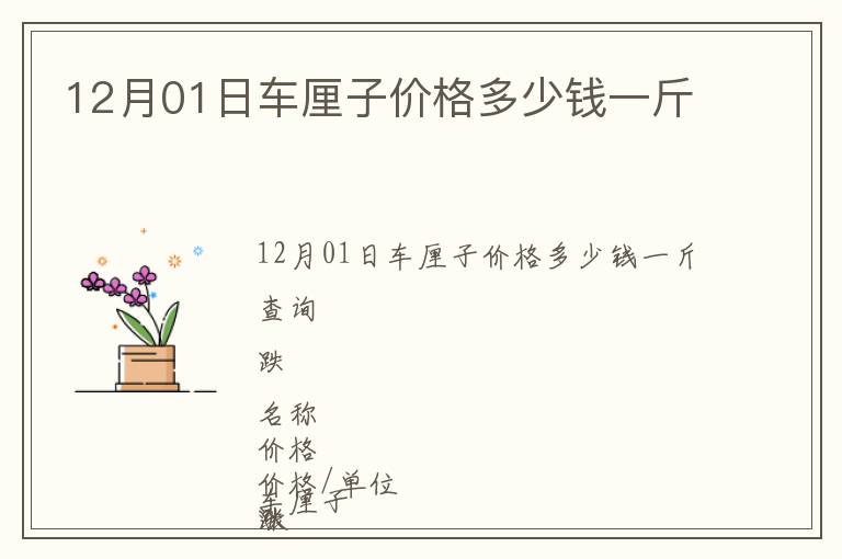 12月01日車?yán)遄觾r格多少錢一斤