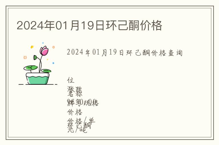 2024年01月19日環己酮價格