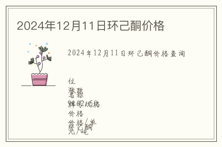 2024年12月11日環己酮價格