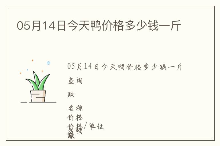 05月14日今天鴨價格多少錢一斤