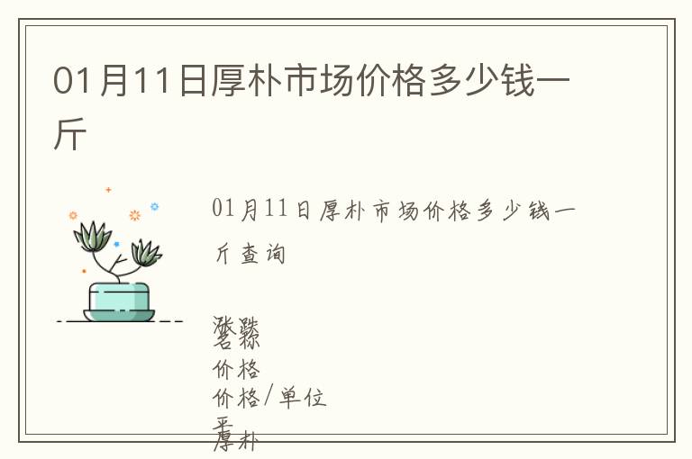 01月11日厚樸市場價(jià)格多少錢一斤