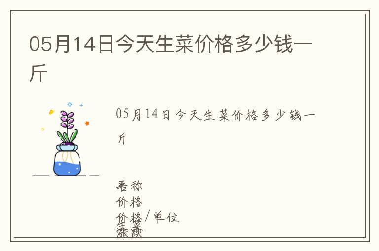 05月14日今天生菜價格多少錢一斤